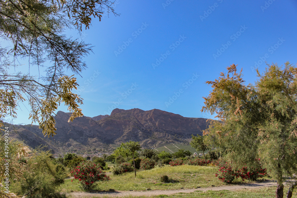 Φωτογραφία Vega Baja del Segura - Orihuela - Paisajes de la sierra, la huerta y sus detalles