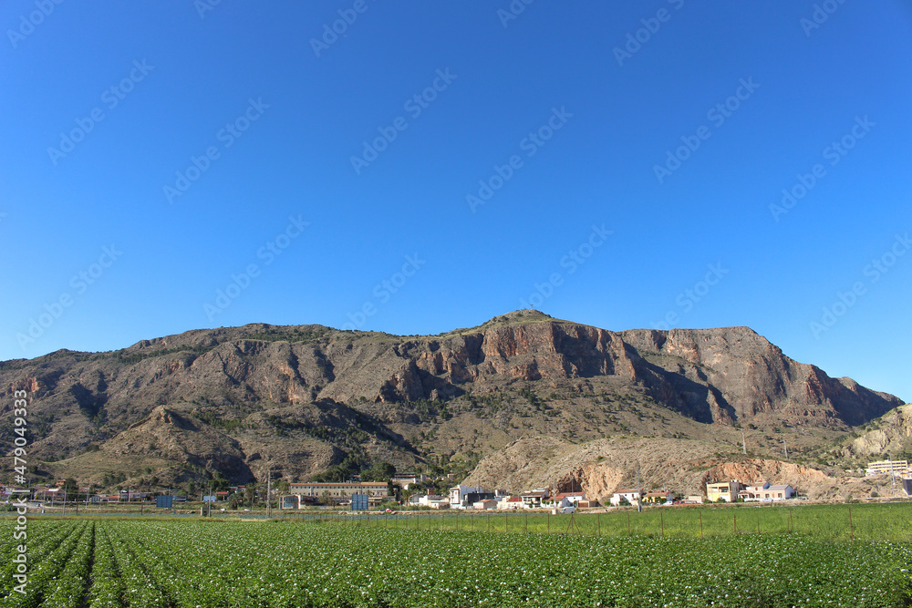 Φωτογραφία Vega Baja del Segura - Orihuela - Paisajes de la sierra, la huerta y sus detalles