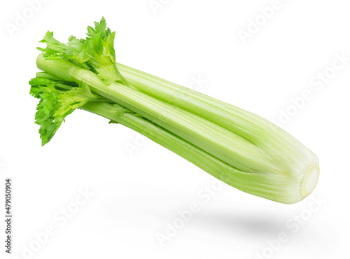 Fresh celery isolated on white background. Cooking ingredients.