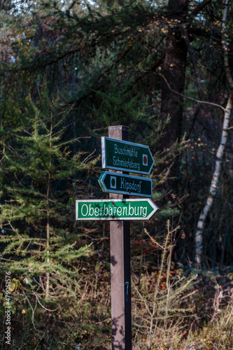 Trail signs in a forest