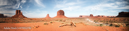 Fotografie, Obraz Panoramic view at Monument Valley