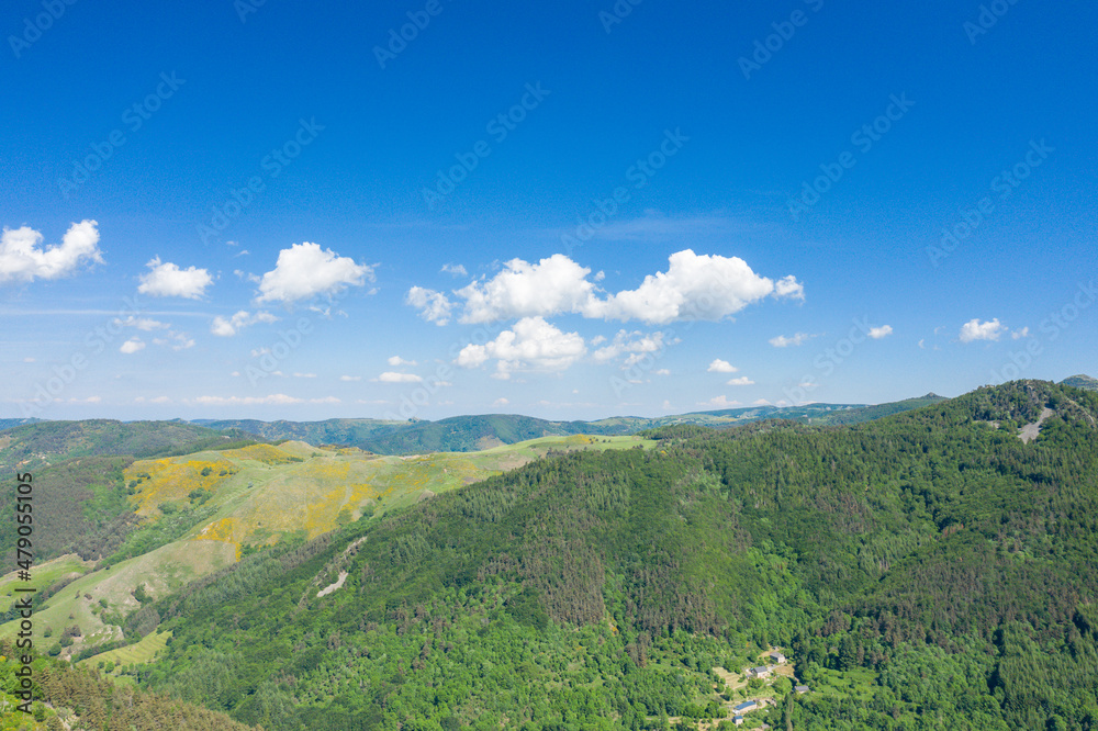 The forest and fields of the Ardeche countryside in Europe, France, Ardeche, in summer, on a sunny day.