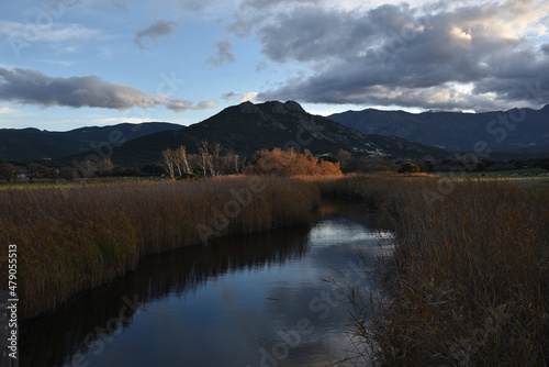 Cr  puscule sur le marais