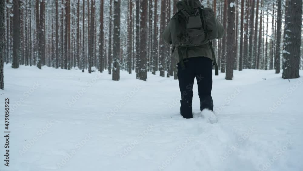 A man with a backpack travels through the forest in winter. .The concept of travel and active lifestyle. 4K A man with a backpack travels through the forest in winter. .The concept of travel and active lifestyle. 4K