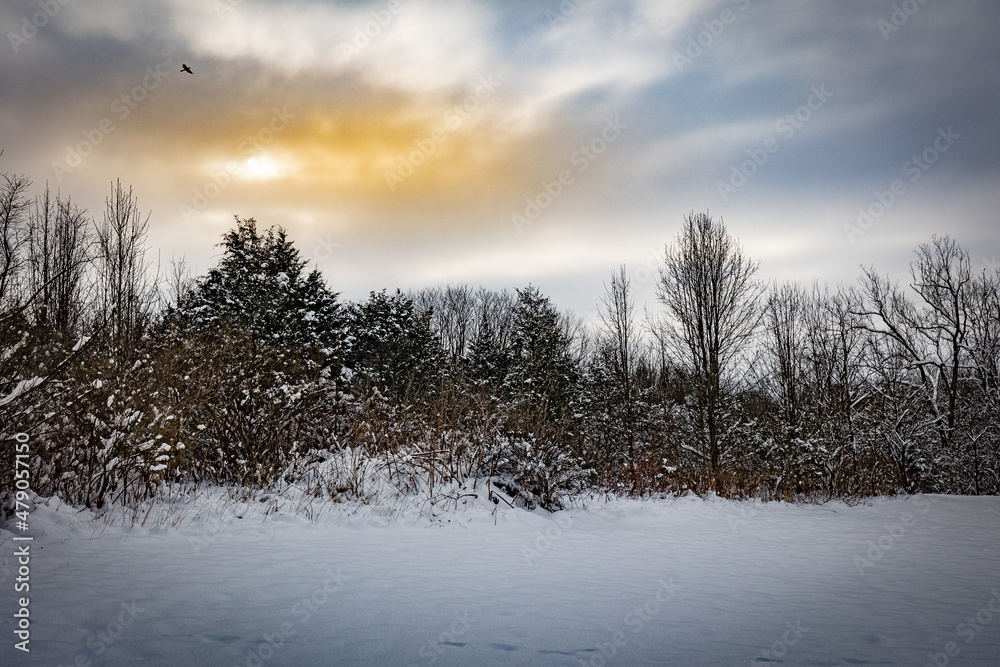 Winter forest landscape with morning sun sneaking behind clouds in Veteran’s park, Lexington, Kentucky USA