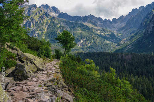 Beautiful summer landscape of High Tatras, Slovakia - famous track to Poprad Lake - stone footpath over the cliff, lush forest, mountains and clouds on the sky