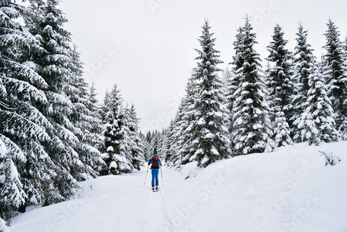 Skitury, skituring, zimowe wędrówki górskie na nartach do skituringu, piękna biała zima w górach, śnieg w Karkonoszach, ferie zimowe. Skitouring in Polish mountains, white winter.