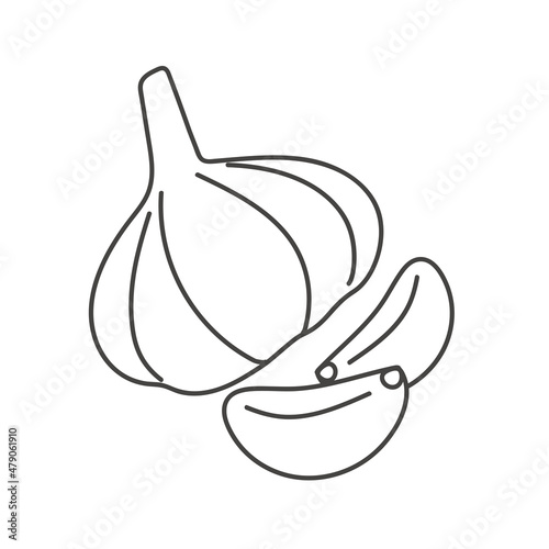 a head of garlic and two cloves of garlic are drawn in doodle style on a white background