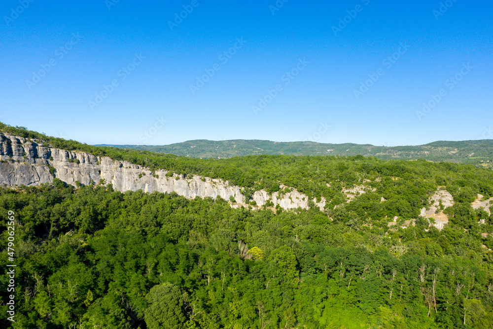 The huge forest in the Gorges de lArdeche in Europe, France, Ardeche, in summer, on a sunny day.