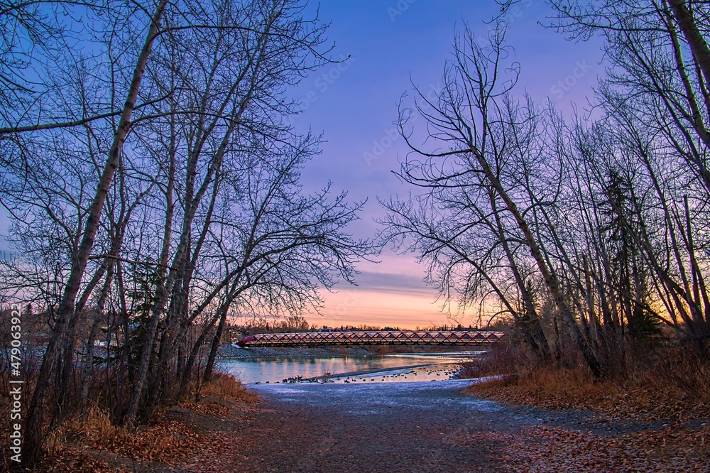 Trees Framing The Peace Bridge At Sunrise