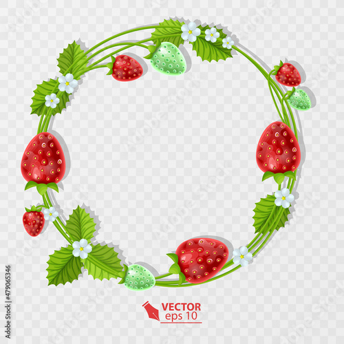 Strawberry with leaves and flowers. Decorative strawberry frame and border, vector format