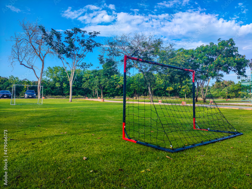 Soccer field inside a private residential