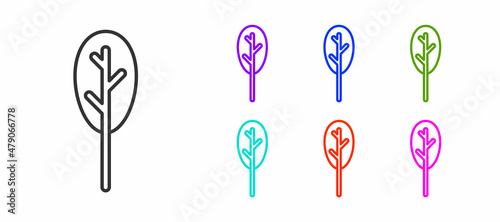 Black line Spinach icon isolated on white background. Set icons colorful. Vector