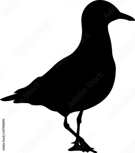 Möwe laufend svg