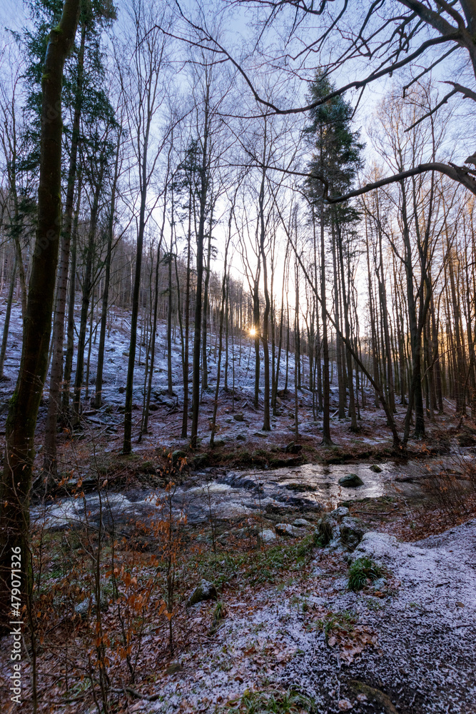 river in the forest (Harz, Germany) river in the forest (Harz, Germany)