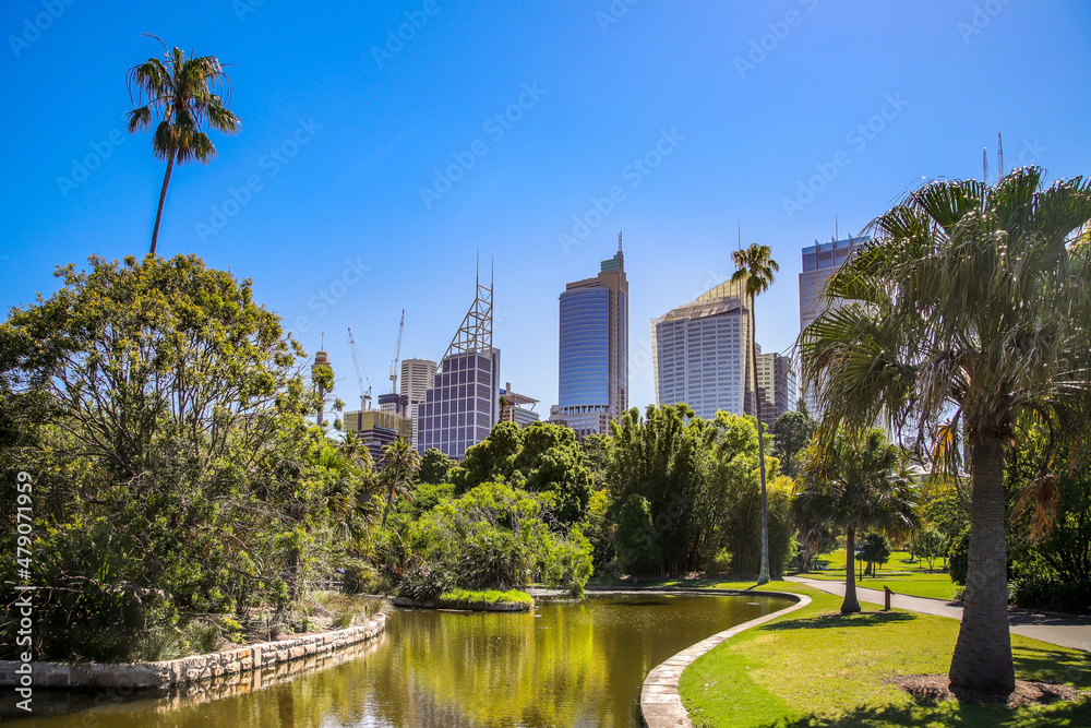 Royal Botanic Gardens Sydney mit Blick auf die Skyline
