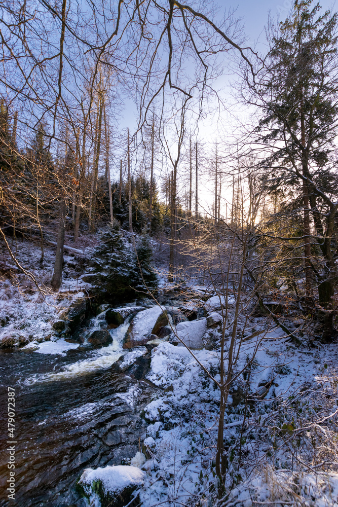 river in the forest during winter (Harz, Germany)
