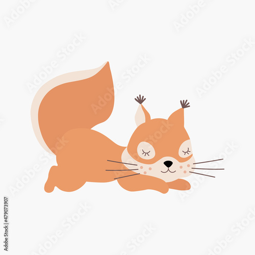 Scandinavian cute sleeping little squirrel. Hand drawn vector element for nursery decoration, baby shower, birthday, children's party, poster, invitation, postcard, kids clothes