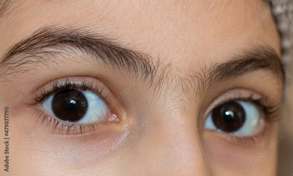 Obraz premium Eyes of little girl. Close up view of beautiful eyes of a young girl