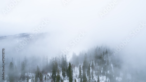 The pine forest in mountains in the morning is very foggy. Copy space for text. Winter season © Aleksander