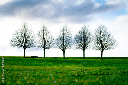 Spring or autumn landscape with blue sky background. Bald trees with fresh green grass. City green area. Lonely bench in the park alley on the hill. Nature awakening. Copy space, selective focus