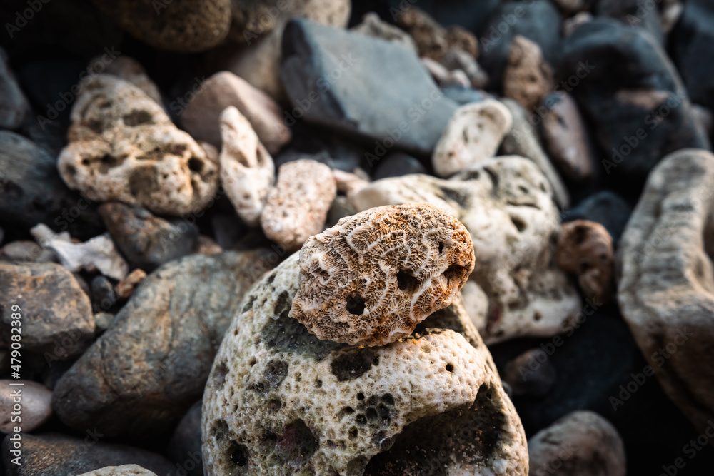 stones on beach