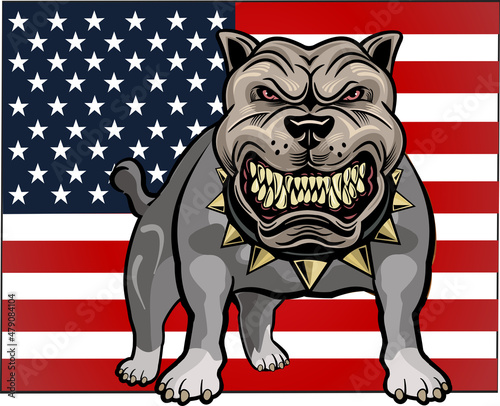 American Bully Dog. Aggressive American amstaff.