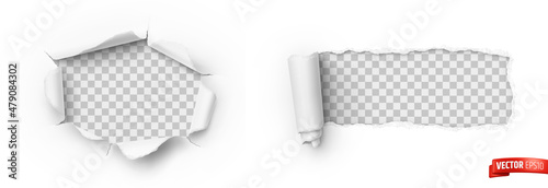 Vector realistic illustration of white ripped paper on a transparent background. photo