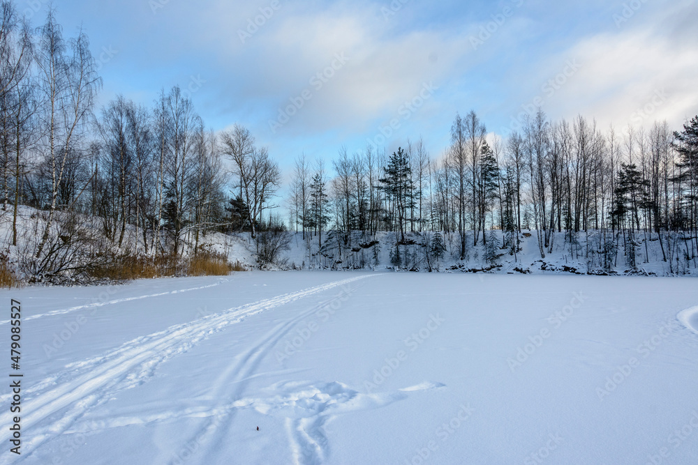 Winter landscape with trees and a lake in the Leningrad region.