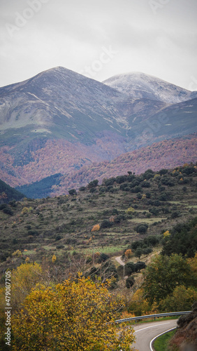 La Rioja is a province and autonomous community in northern Spain with a renowned local wine industry.  photo