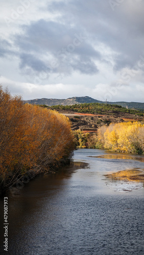La Rioja is a province and autonomous community in northern Spain with a renowned local wine industry.  photo
