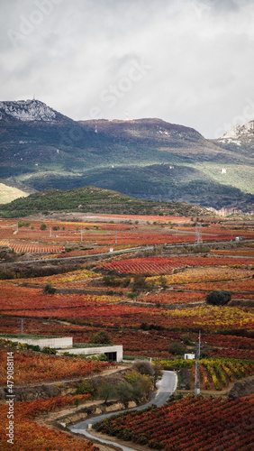 La Rioja is a province and autonomous community in northern Spain with a renowned local wine industry.  photo