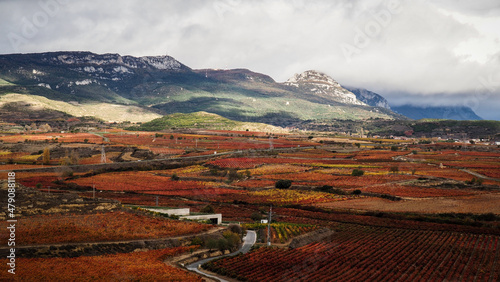 La Rioja is a province and autonomous community in northern Spain with a renowned local wine industry. 