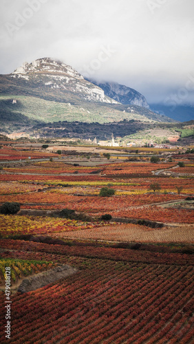 La Rioja is a province and autonomous community in northern Spain with a renowned local wine industry.  photo