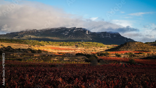 La Rioja is a province and autonomous community in northern Spain with a renowned local wine industry.  photo