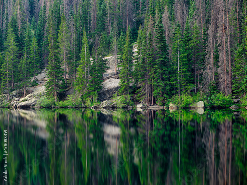 Crystal clear reflections of pine trees on Bear Lake in the Rocky Mountains