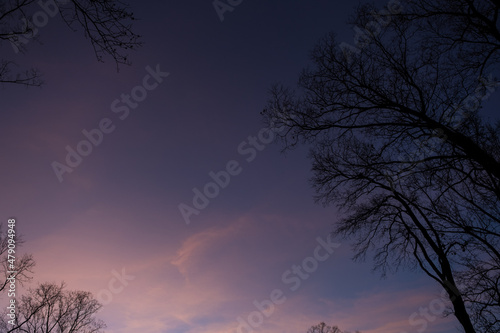 Sunset with Silhoetted Trees framing the Edges of the photograph photo
