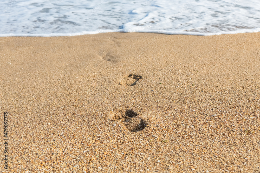 Footprints of a man in the sand on the seashore.
Footprints of a man in the sand on the seashore.