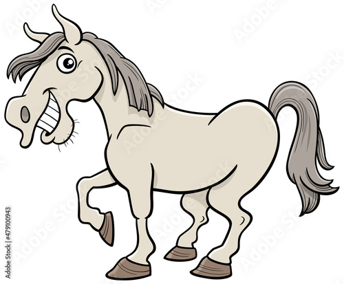 funny cartoon white horse farm animal character