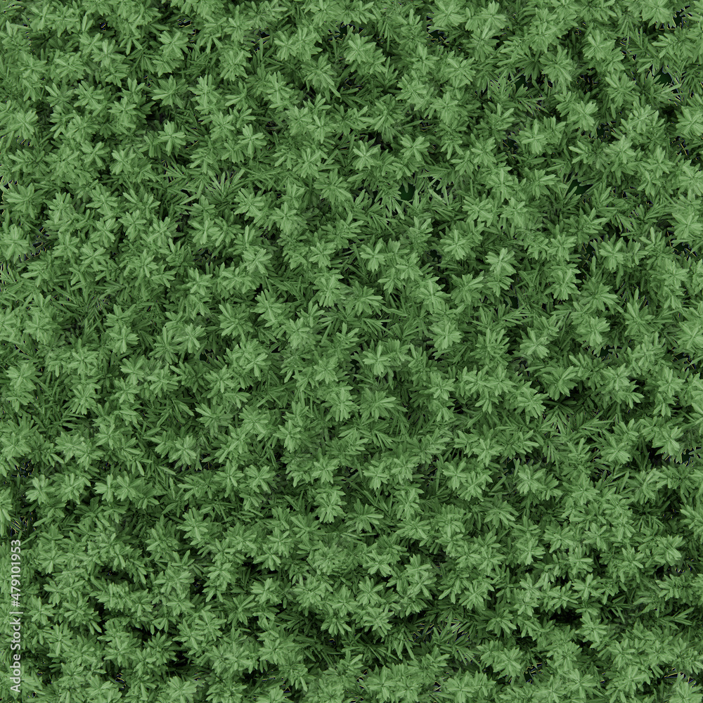 Shrub grass field top view 3d rendering background Shrub grass field top view 3d rendering background