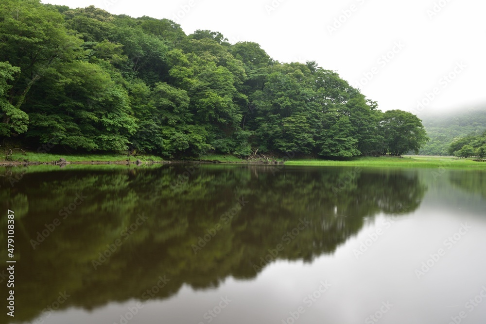wetland in a cloudy day, Tochigi,  Japan