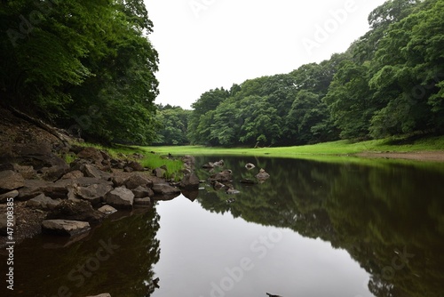 wetland in a cloudy day  Tochigi   Japan