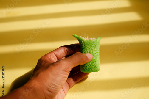 Hand Holding Coconut Filled Pandan Pancake Rolls. Traditional Indonesian or Malayasian Food Called Dadar Gulung. photo