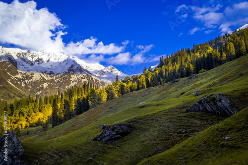 Landscape in the summer. The alpine meadow in the mountains. This is the scenic view of Himalayas peaks and alpine landscape from the trail of Sar Pass trek Himalayan region of Kasol, Himachal Pradesh