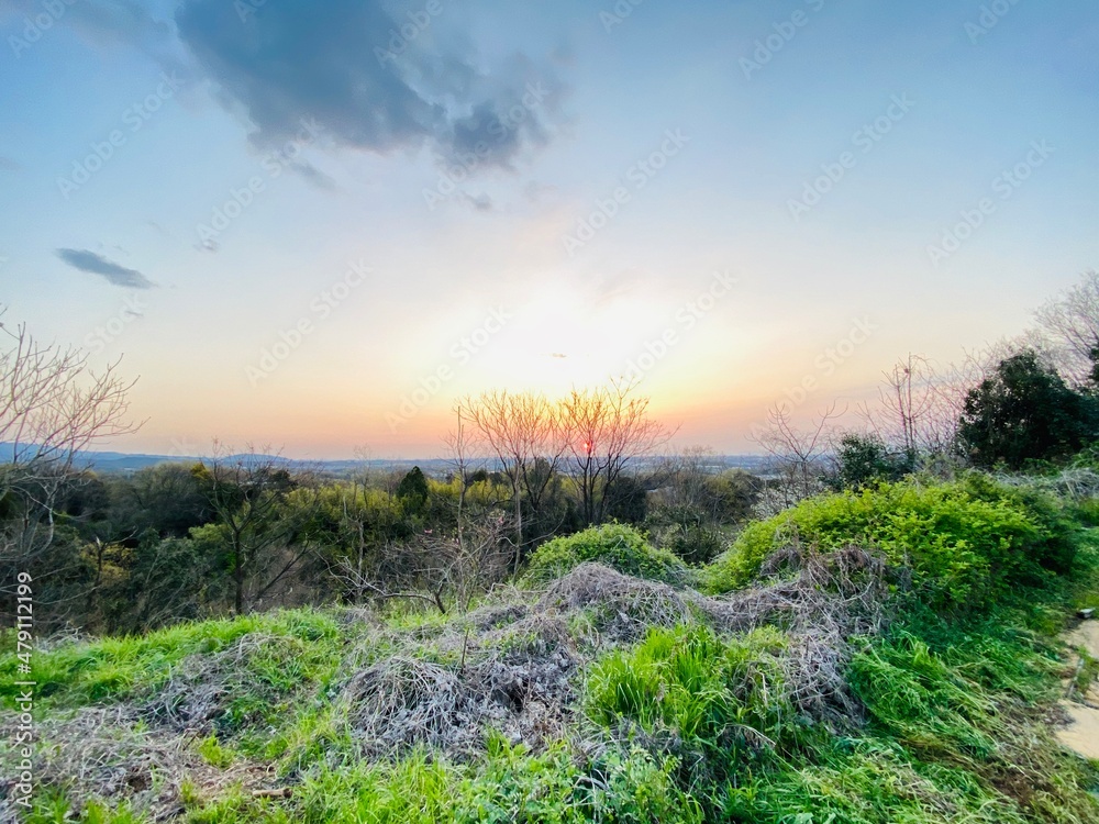 Fototapeta premium sunset in the field