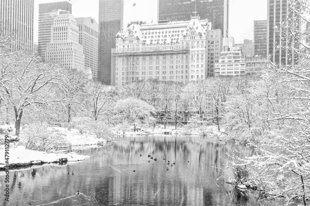 Snow in New York City