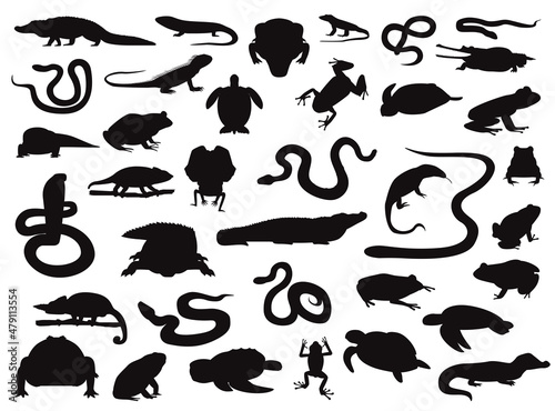 Various Reptile and Amphibian Silhouettes Vector Illustration