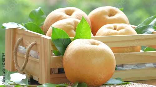 Snow pear fruit in wooden basket, Fresh Nashi pear or Korean pear fruit in the basket over green natural Blur background.