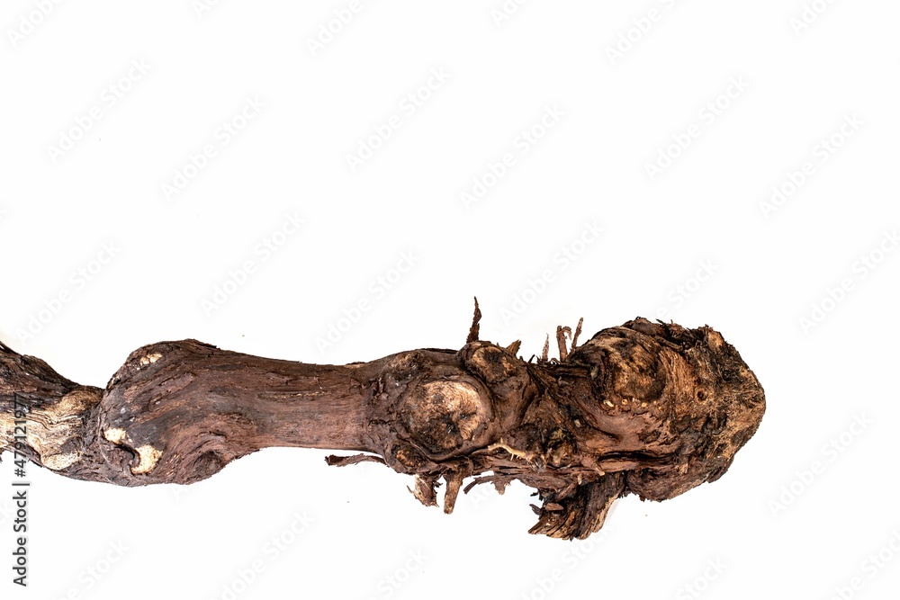 brown dry logs on a white background