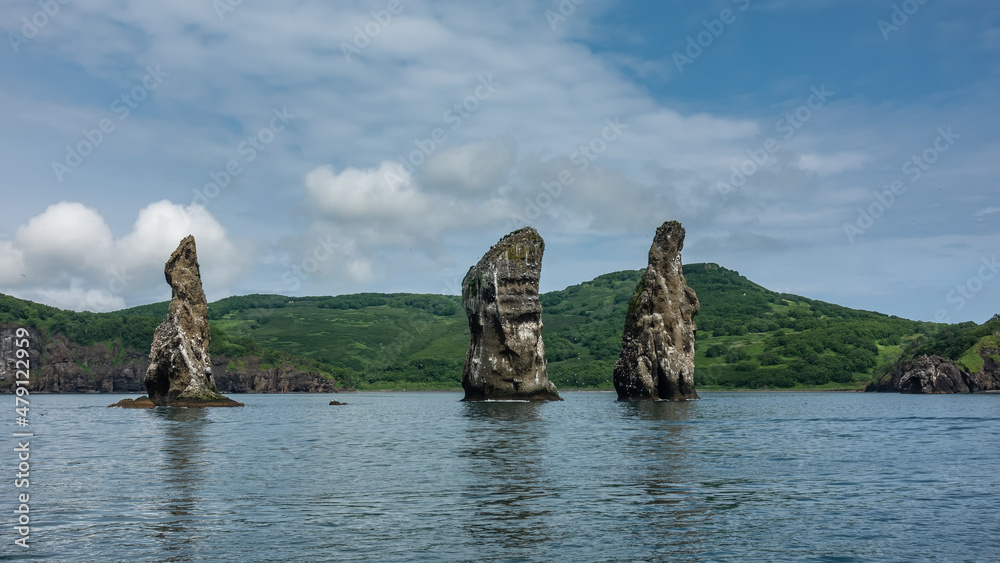 Picturesque high cliffs rise above the Pacific Ocean. Bird nests on steep slopes. The green hilly coast of Kamchatka against the blue sky. Rocks Three Brothers